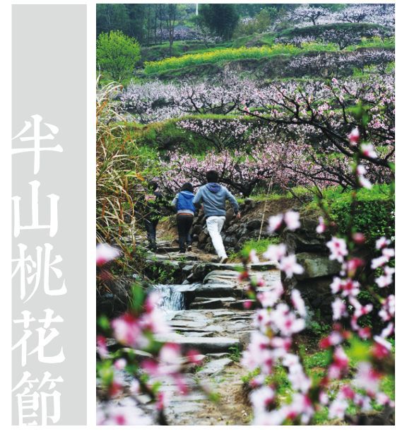 富春山居“乡村百花大会” 4月26日全城绽放！金年会金字招牌信誉至上(图3)