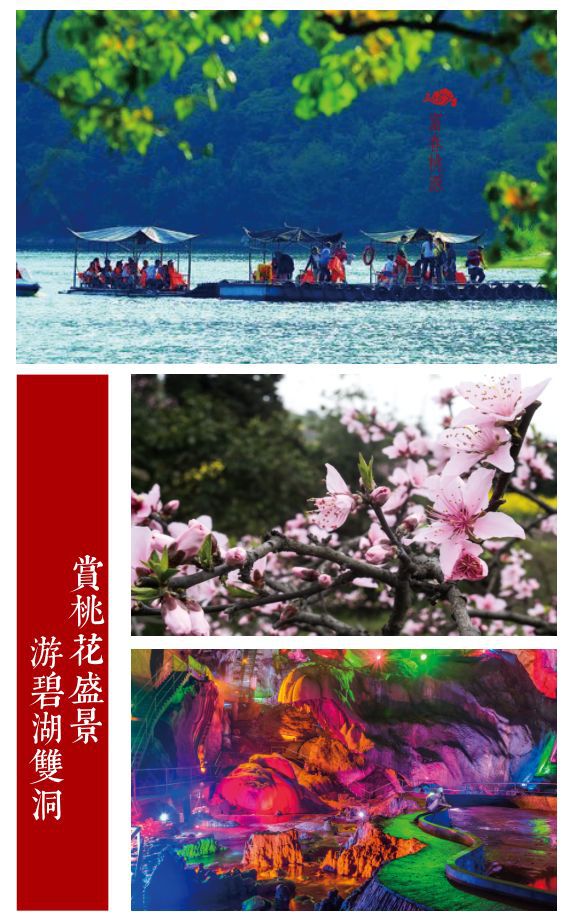 富春山居“乡村百花大会” 4月26日全城绽放！金年会金字招牌信誉至上(图4)